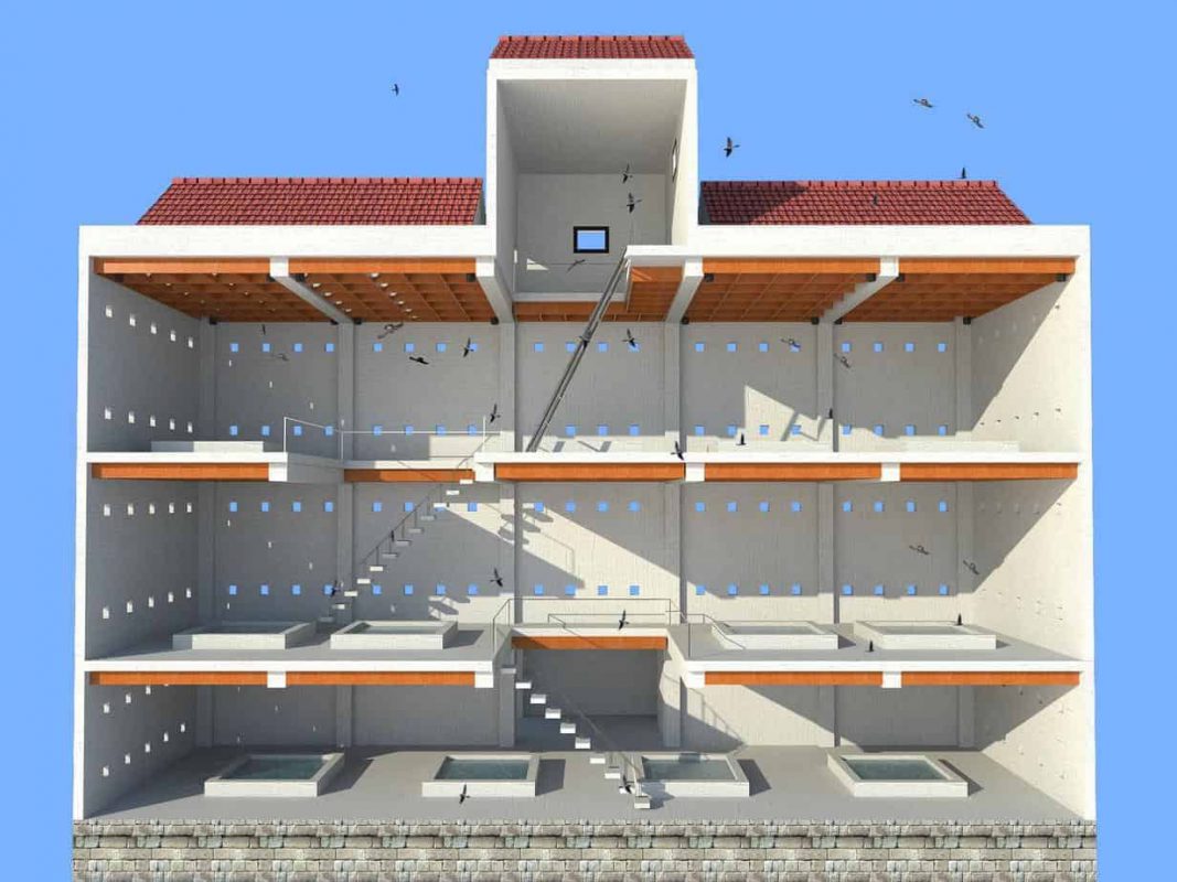 Huong dan cach xay dung nha nuoi yen don gian, hieu qua